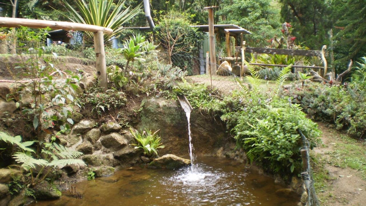 Chales Bamboo Jungle Petrópolis Esterno foto