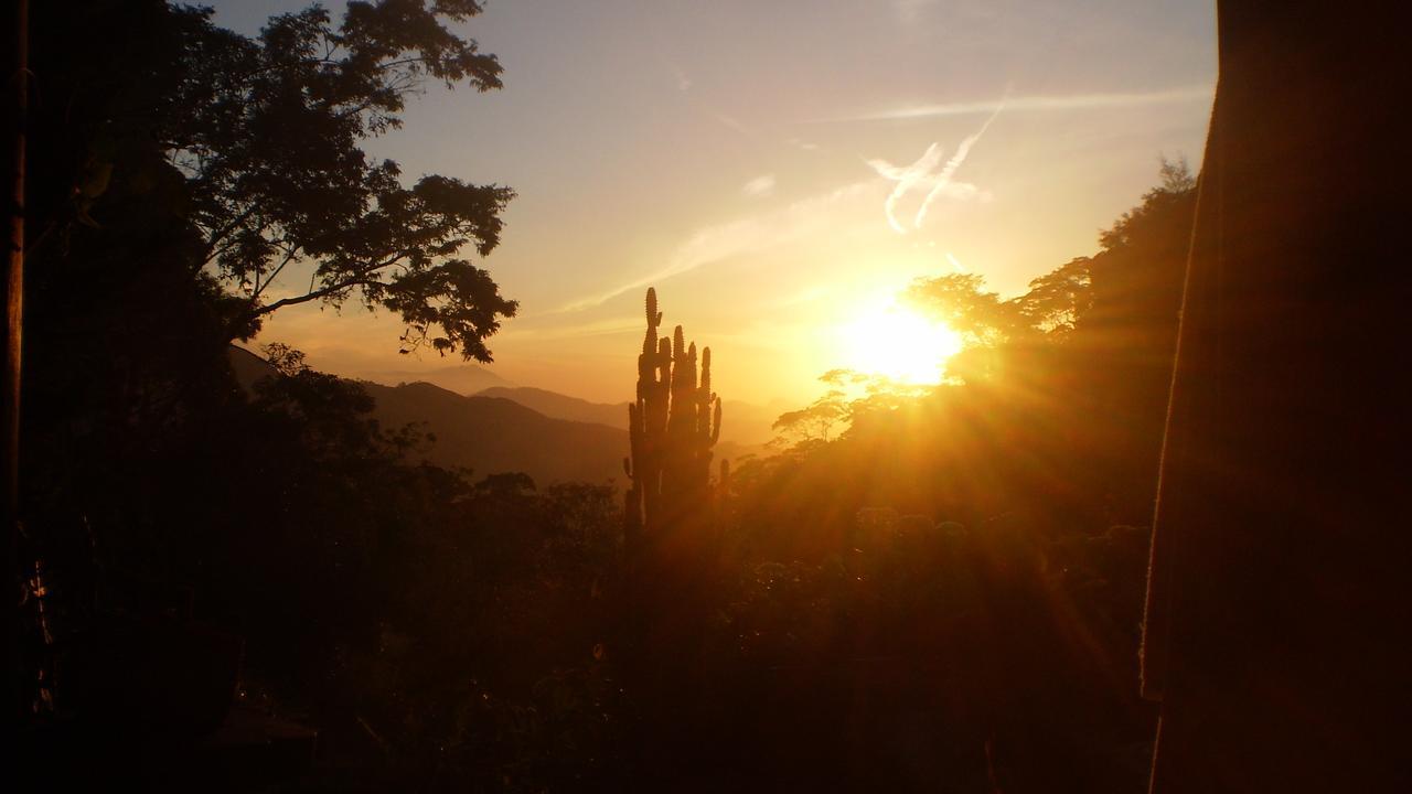 Chales Bamboo Jungle Petrópolis Esterno foto